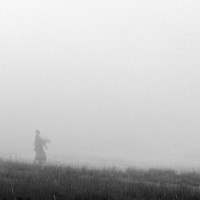 Masai in mist